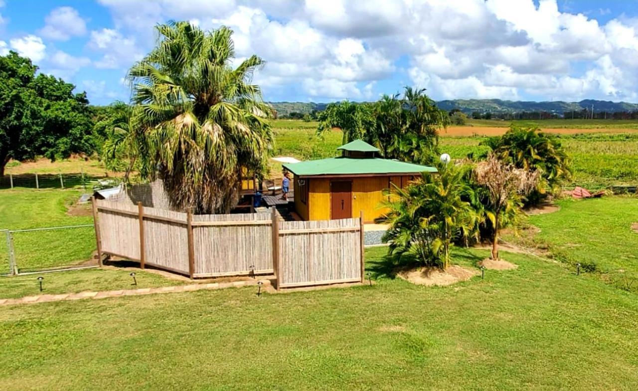 Ariami Rose Hotel Aguada Exterior foto